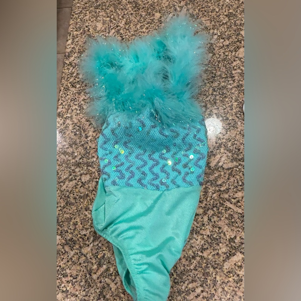 Dance/Ice Skating leotard and detached skirt. Child size small.